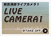 ライブカメラ１＠TAKE OFF
